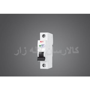 کلید خودکار مینیاتوری یک پل B10A