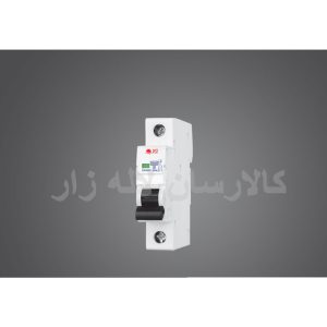 کلید خودکار مینیاتوری یک پل C40A