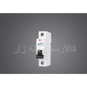 کلید خودکار مینیاتوری یک پل C10A